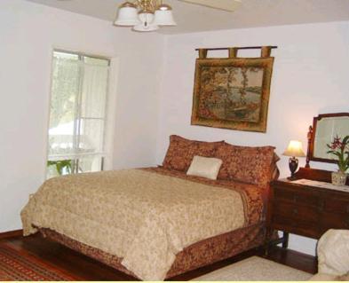 Lava Tree Tropic Inn Pahoa Rom bilde