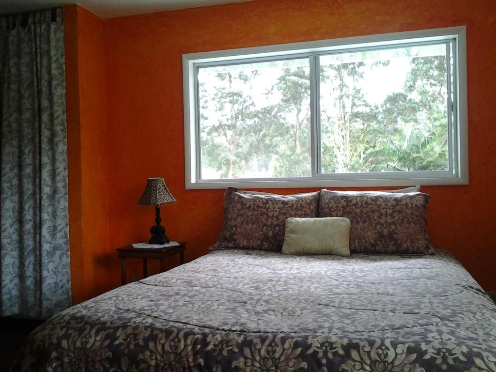 Lava Tree Tropic Inn Pahoa Rom bilde