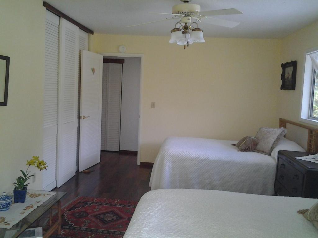 Lava Tree Tropic Inn Pahoa Rom bilde
